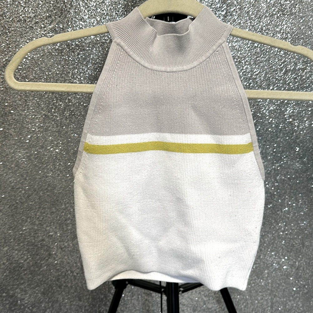 Aritzia BABATON - Knit Crop Tank Top